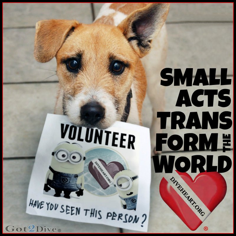 volunteer-dog-minion-g2d-done-jpg.366518