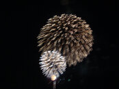005_Fireworks.jpg