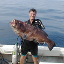 55 lb MG Carbo, gutted, from scrubbed dive trip.jpg