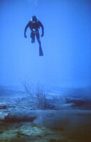 NW Diving History019.jpg