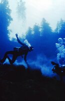 NW Diving History020.jpg