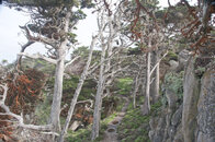 Cypress Grove Trail.jpg