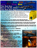 Red Sea Flyer Redo Print.jpg