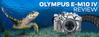 Olympus-OM-D-E-M10-IV-Underwater-Review-Banner-V6.jpg