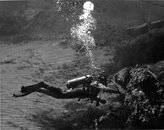Dry Suit Dive, Clear Lake_edited-1.jpg