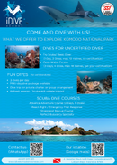 iDIVE flyer promo.png