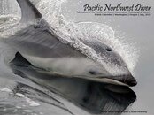 pnw_diver_2012-07_Cover_Low_Res.jpg
