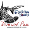 ecodiving tours
