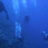 Blue Escapes Diving