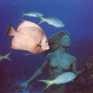 Grand Cayman Dives 2002