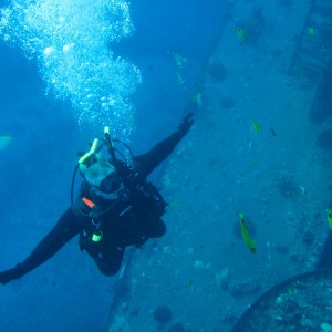Oahu Diving