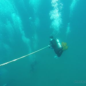 Tobermory 2016 Scuba Diving (3)
