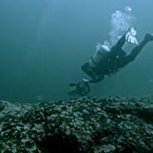 Immersed in Tranquility: A Short Scuba Dream