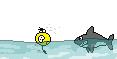Shark Attack :sharkattack: :sharkattack: