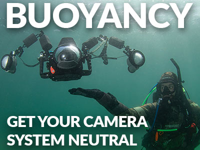 Best-Buoyancy-Underwater-SB.jpg