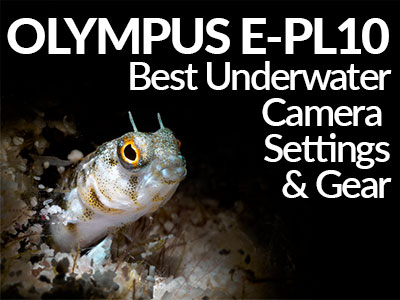 Olympus-E-PL10-Underwater-Settings-Banner-SB.jpg