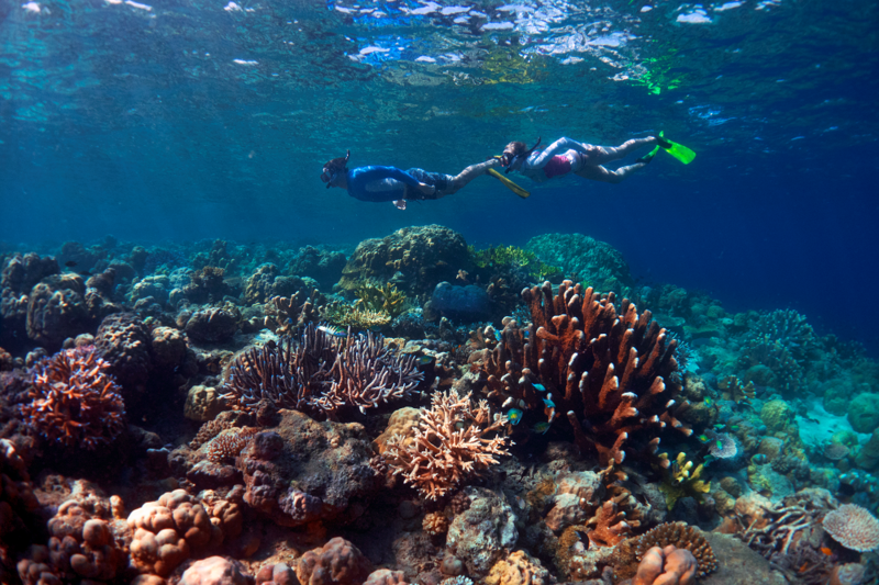 SOLOMON ISLANDS TO HOST 2nd ANNUAL SOLOMONS DIVE FEST 2017 OCTOBER 2-7