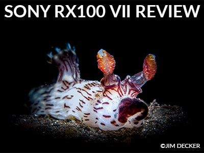 Sony-RX100-VII-Review-Jim-Decker-Banner-SB.jpg