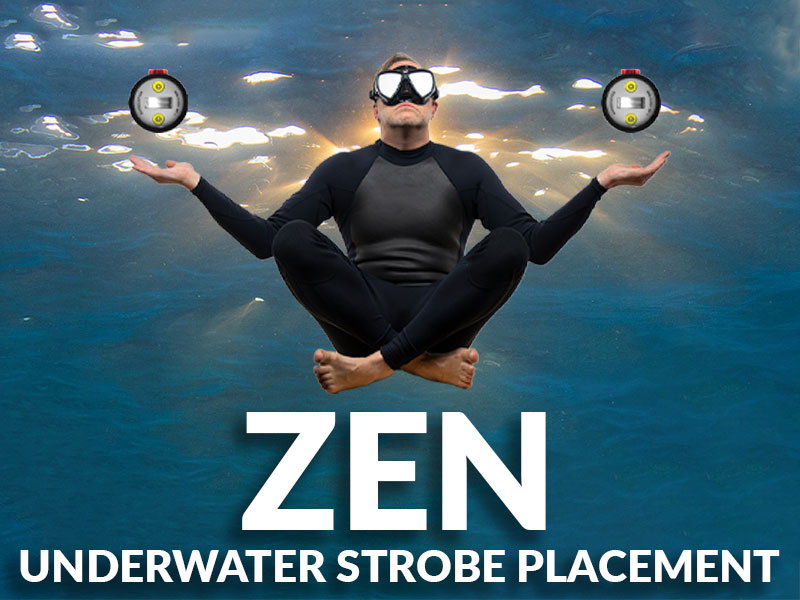 Zen-Of-Srobe-Positioning-Banner-SB.jpg