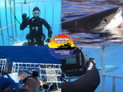 Horizon Charters Great White Shark Experience copy.jpg