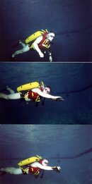 Streamlinging Diver.jpg