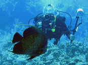 Dickie and French Angelfish_2.jpg