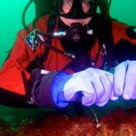 large_diver