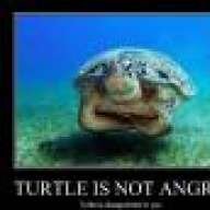 Angry Turtle