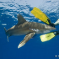 reefman