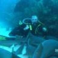 CwbyDiver