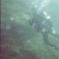 Scuba31
