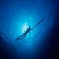 Extreme-Dive-Drew