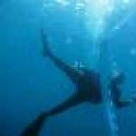 Krazytomdiver