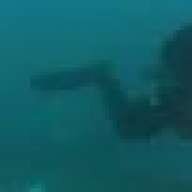 SCUBA482