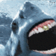 ShoalDiverSA
