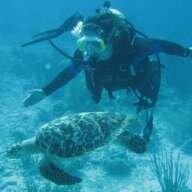 divemaster86
