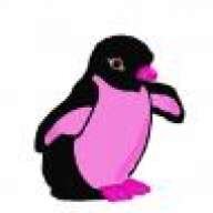 Pink Penguin