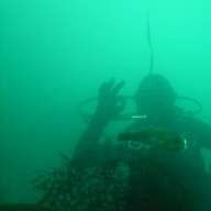 laxdiver67
