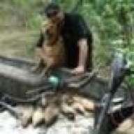 shoot2retrieve