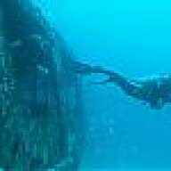 SterlingDiver