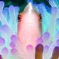 AleG