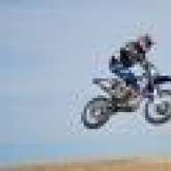 endurodog