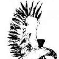 falcon125