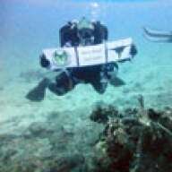 AFdivedoc