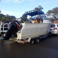 clownfishsydney