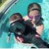 decapoddiver