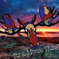 Moose