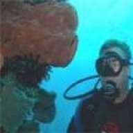 DiveScoop