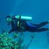 diveallthetime
