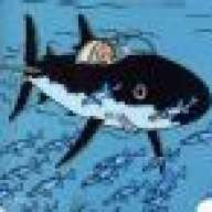 49thdiver